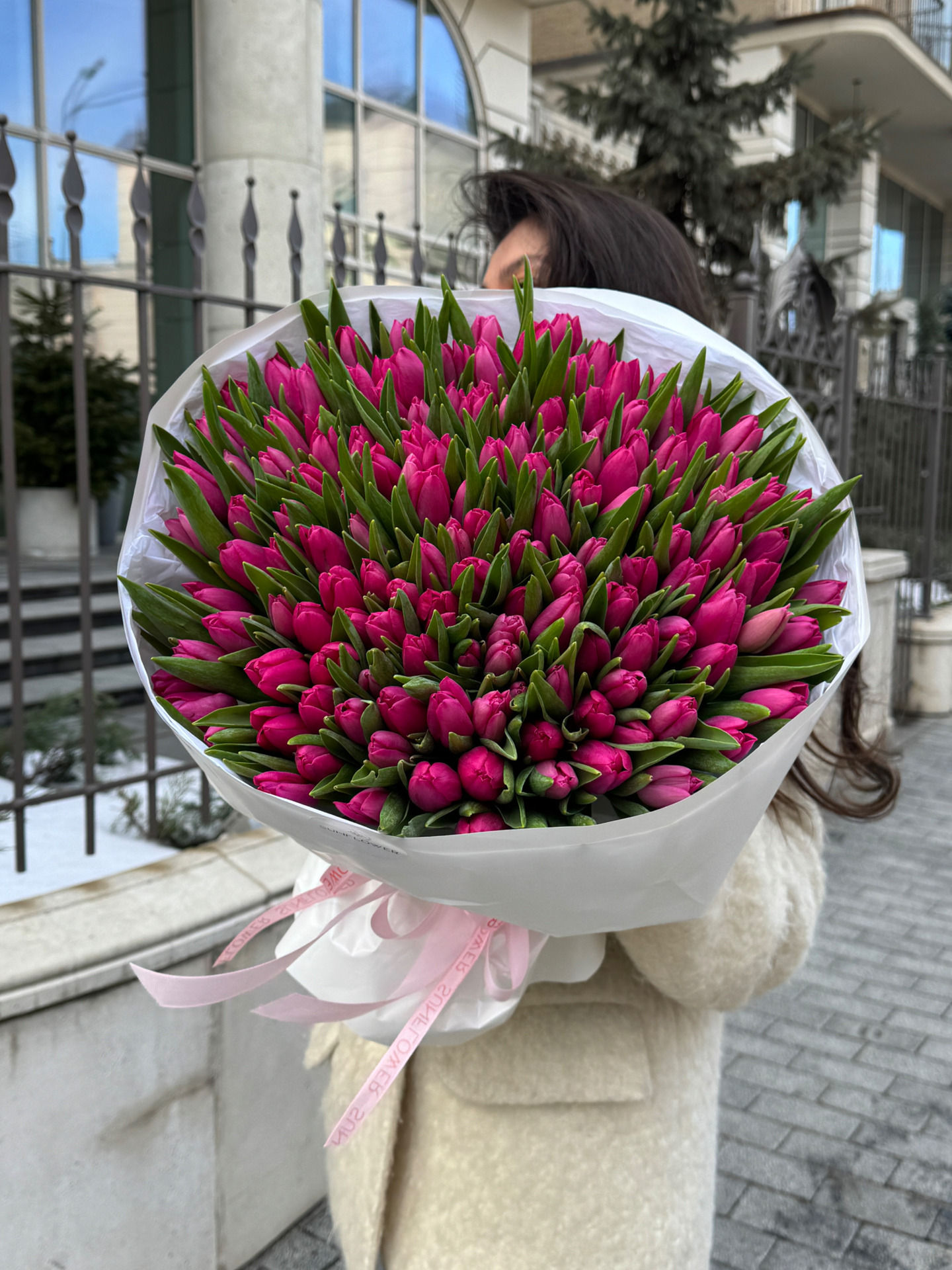 Тюльпан Pink Ardour