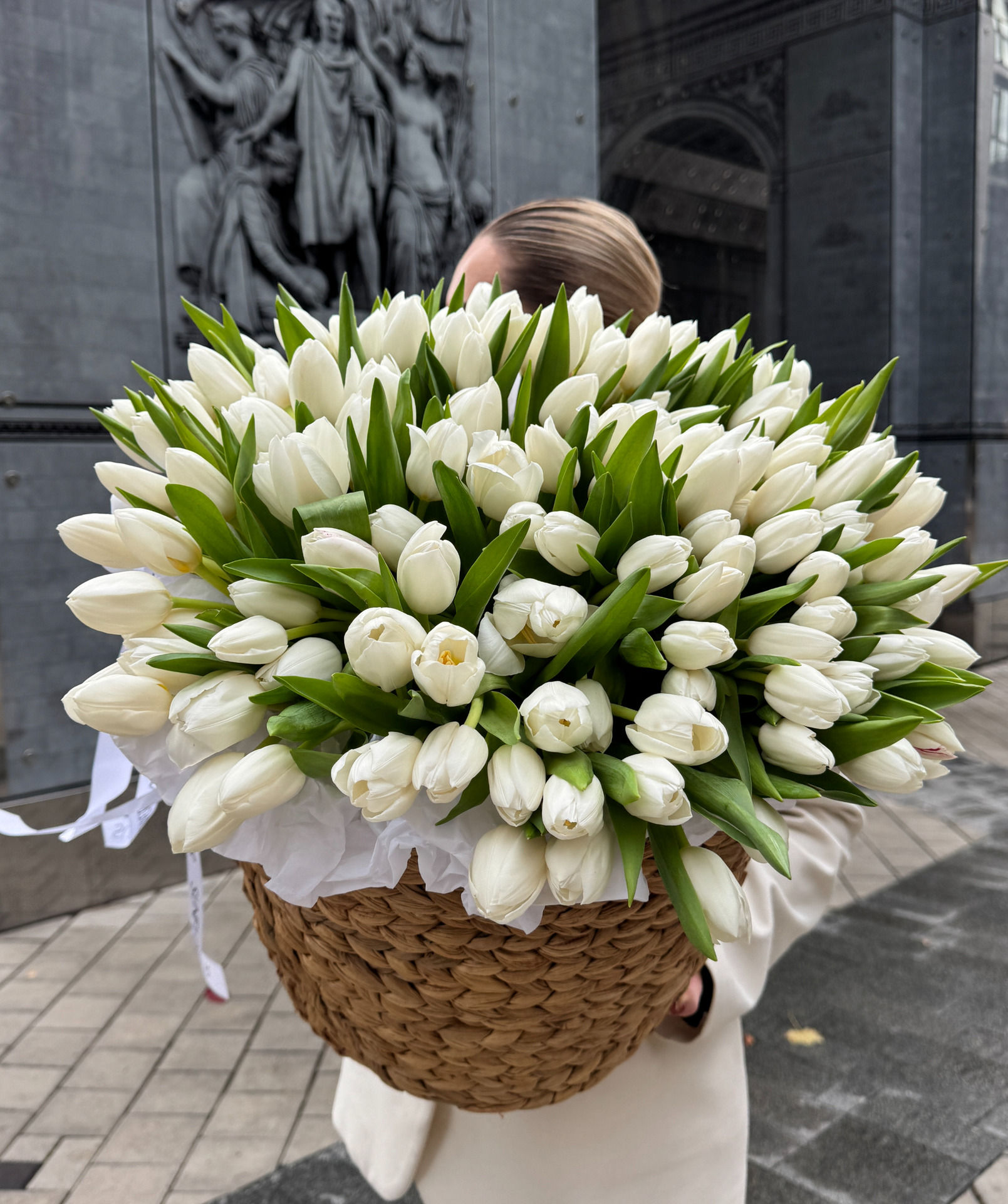 Tulips Antarctica