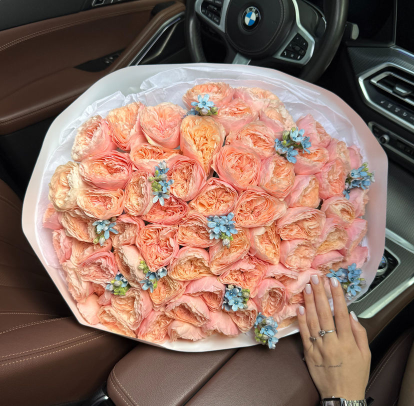 Bouquet of 65 Harper Roses with Oxypetalum
