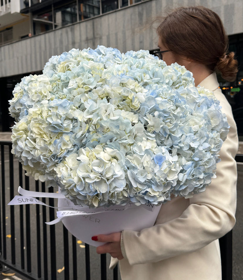Box of blue hydrangeas