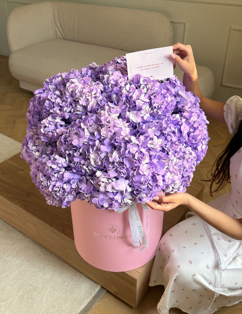 43 Lavender Hydrangeas in a Velvet Box