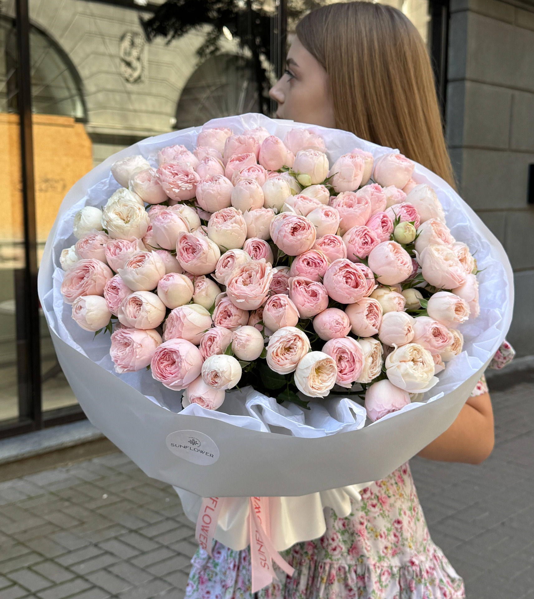 Rose Mansfield Park 50см