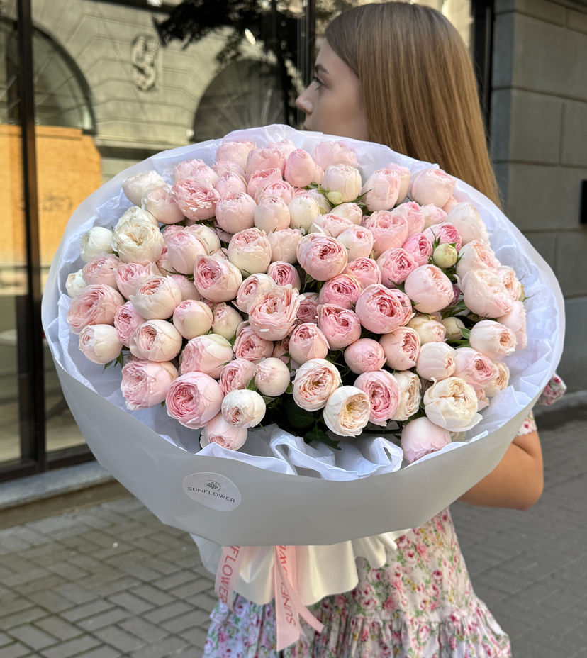 Rose Mansfield Park 50см