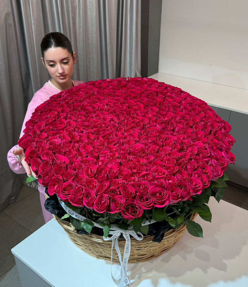 Basket 371 rose Madam Cerise 50 cm