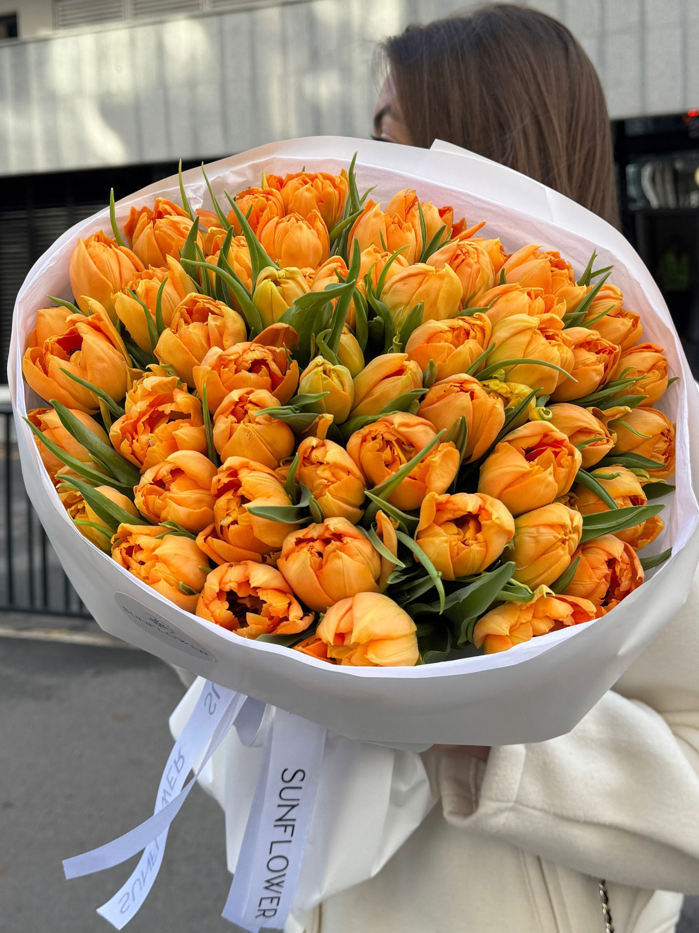 Tulip Monte Orange
