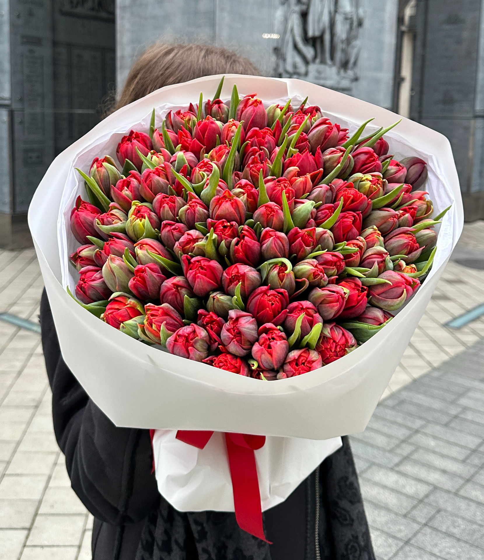 Tulip Red Princess