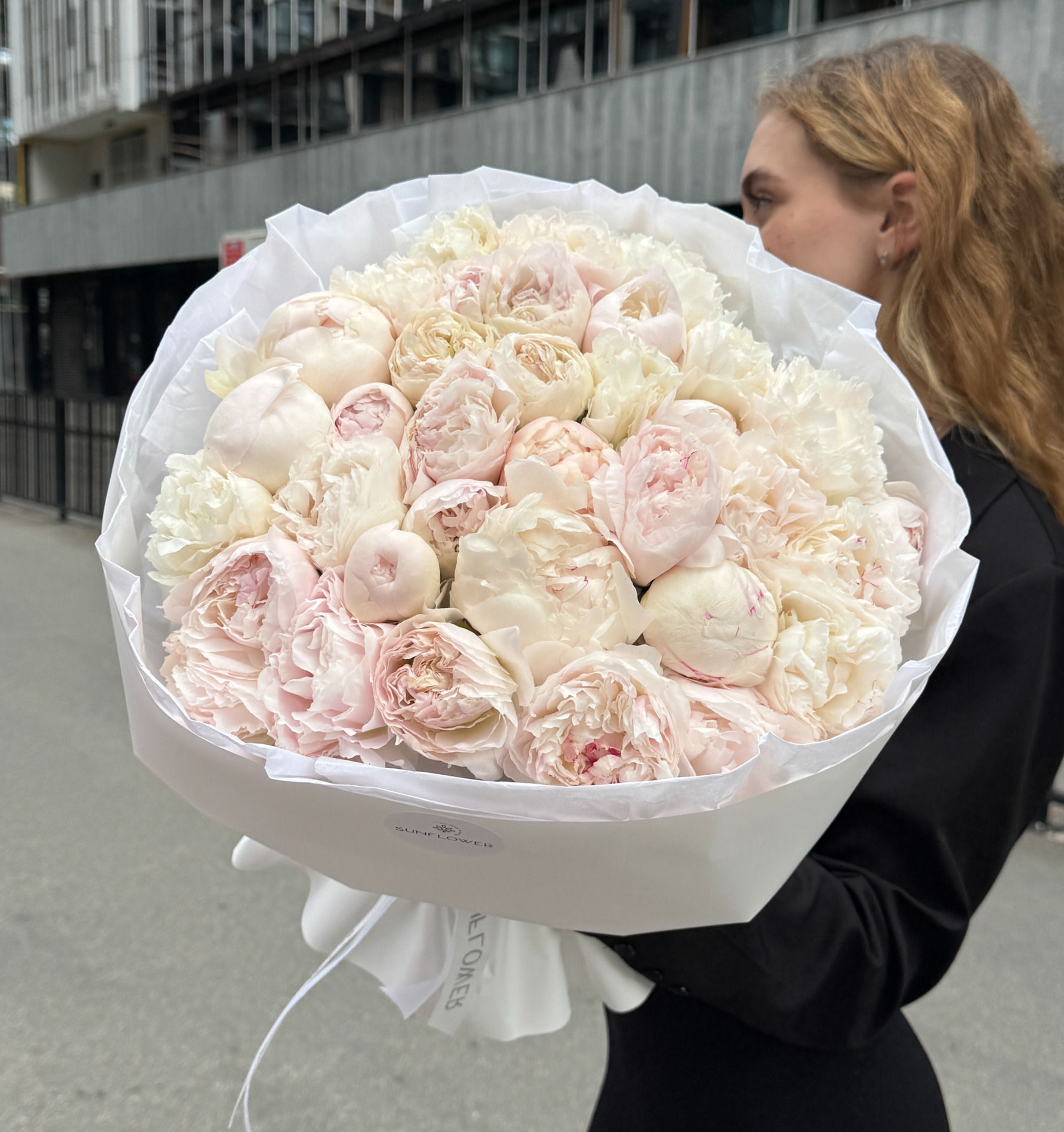 Півонія Shirle Temple