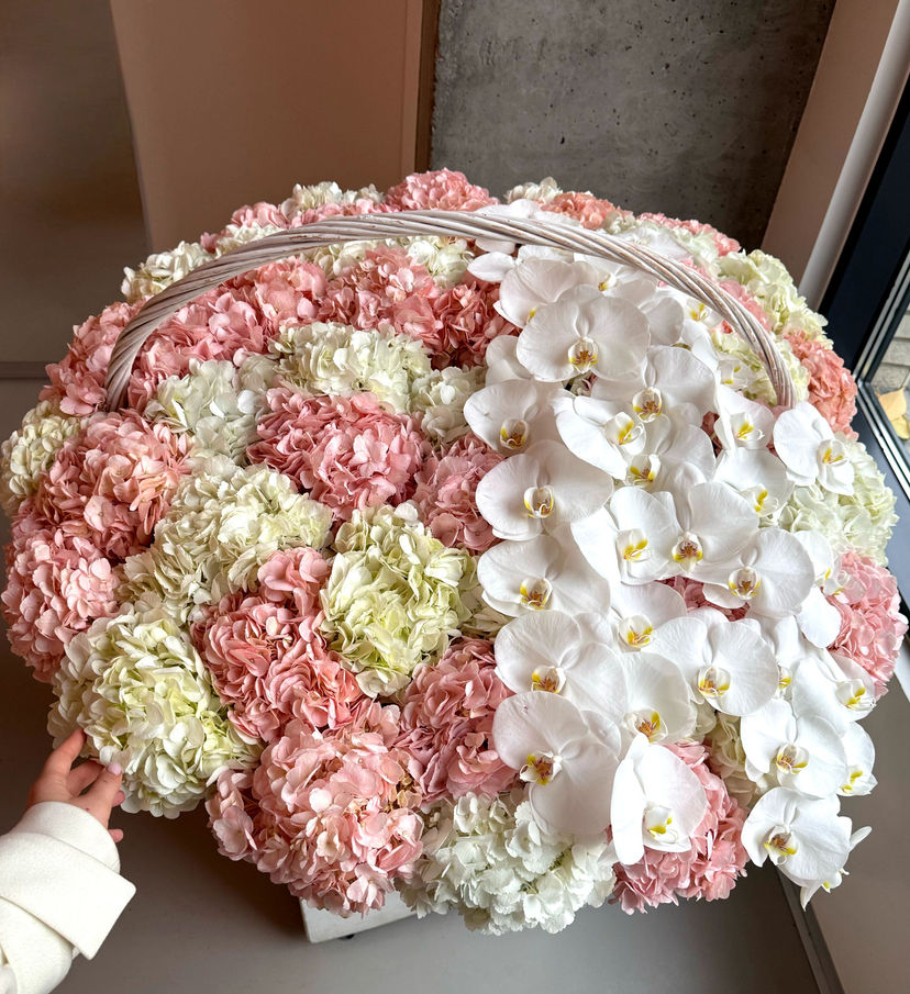 XL basket of 65 hydrangeas and orchids