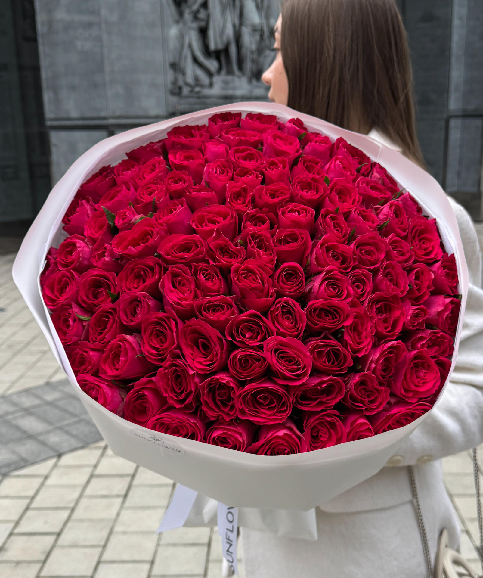 Rose Madam Cerise (60 cm)