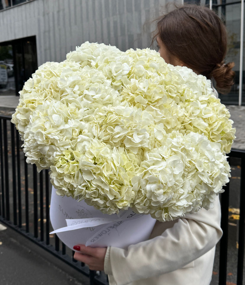 Box of white hydrangeas