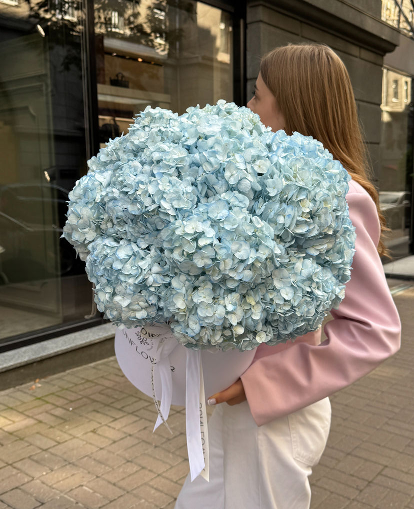 15 гортензій Blue у оксамитовій коробці