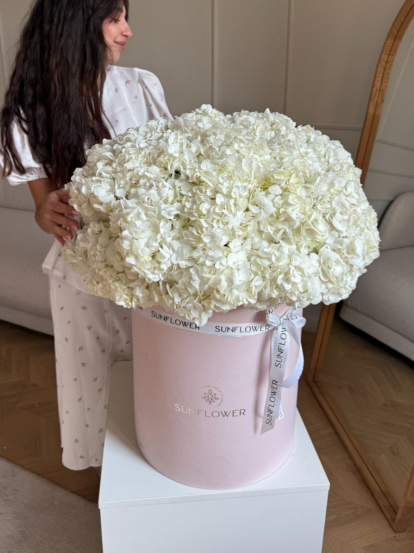 Arrangement of white hydrangeas in a box (Size M) – 35 stems