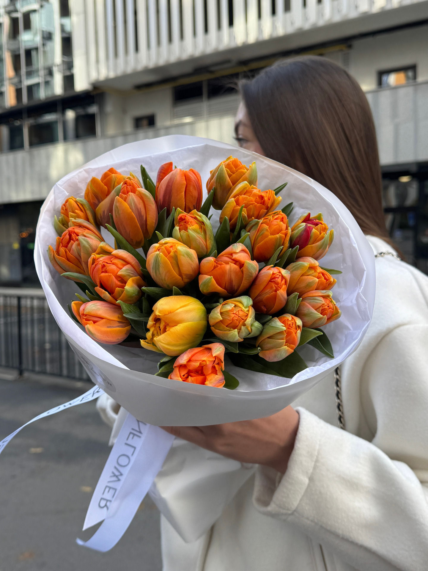 Tulip Orange Princes
