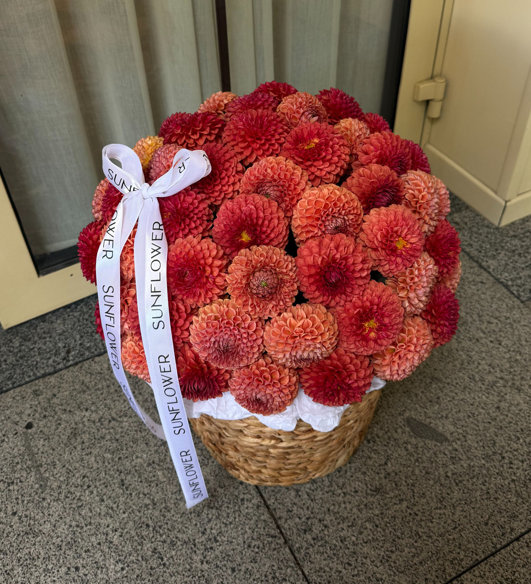 67 Brown Sugar Dahlias in a Basket