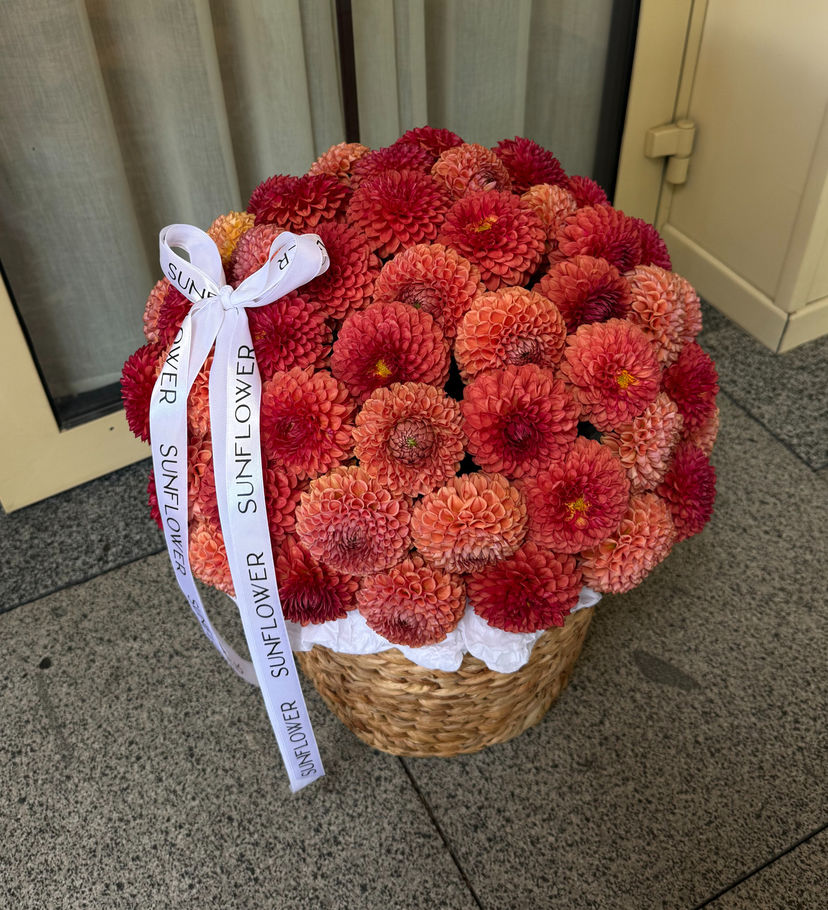 67 Brown Sugar Dahlias in a Basket