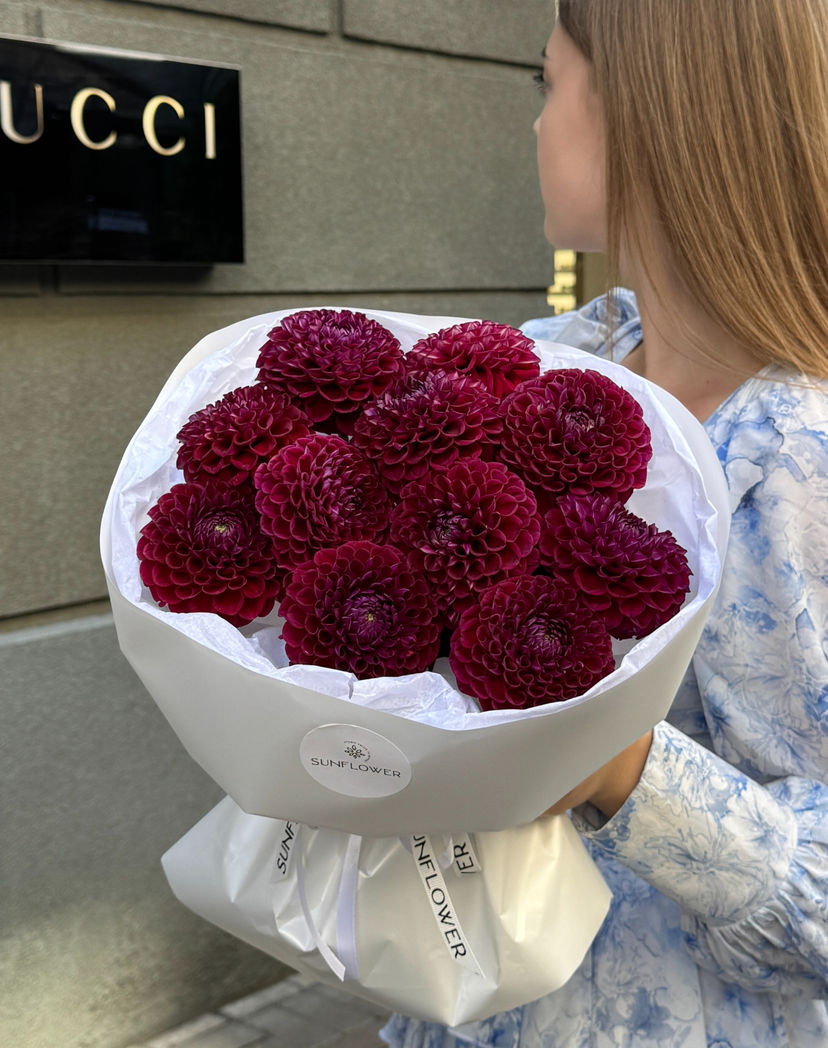Burgundy dahlias