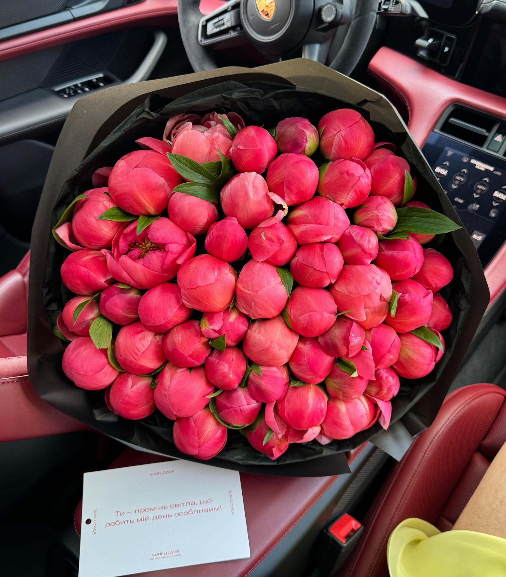 Півонія Coral Charm