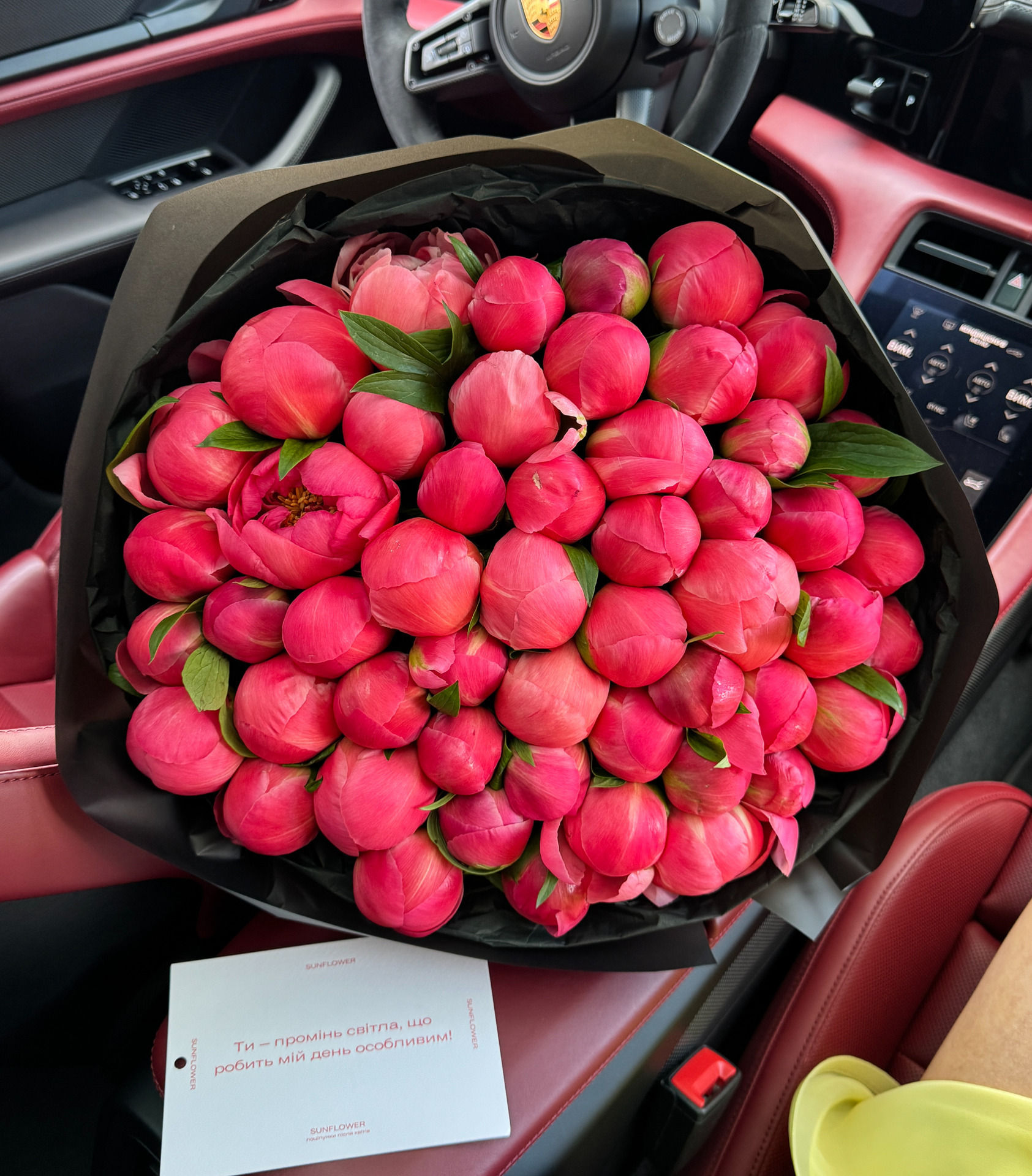 Півонія Coral Charm