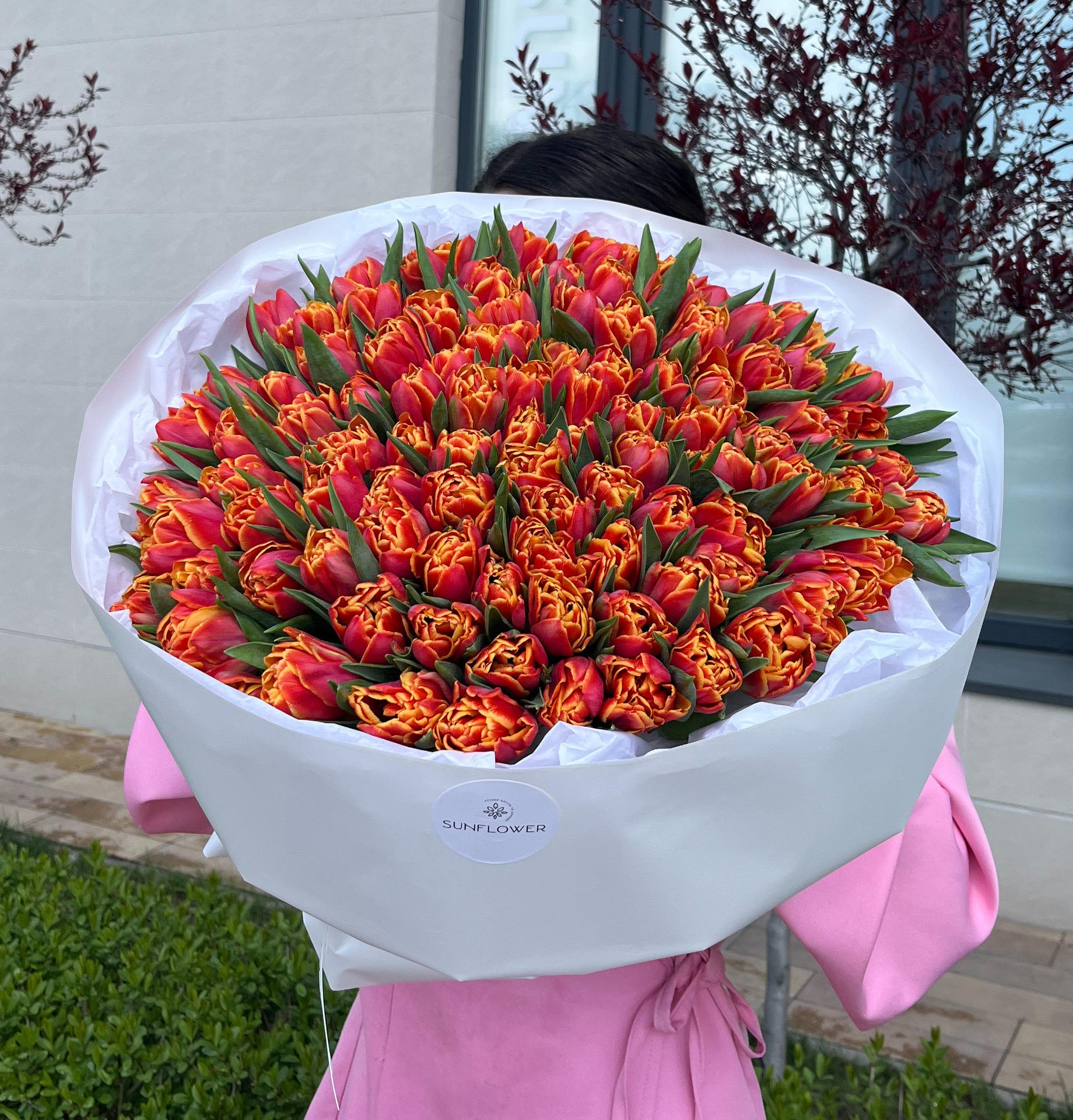 Tulip OV