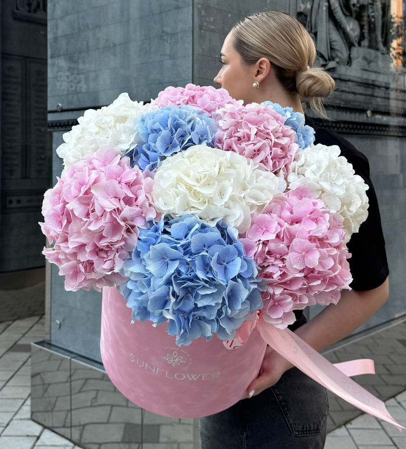 Hydrangeas in a Powder Velvet Box