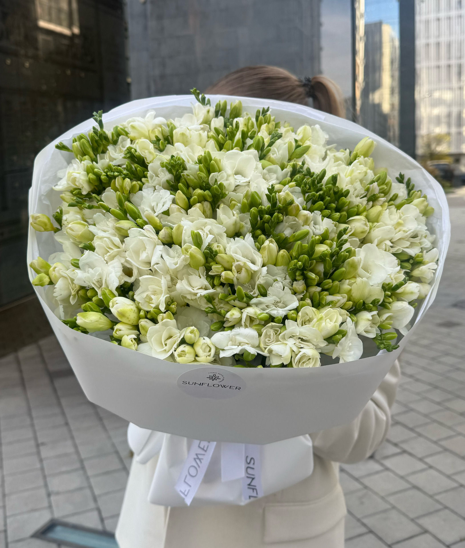 Freesia Versailles