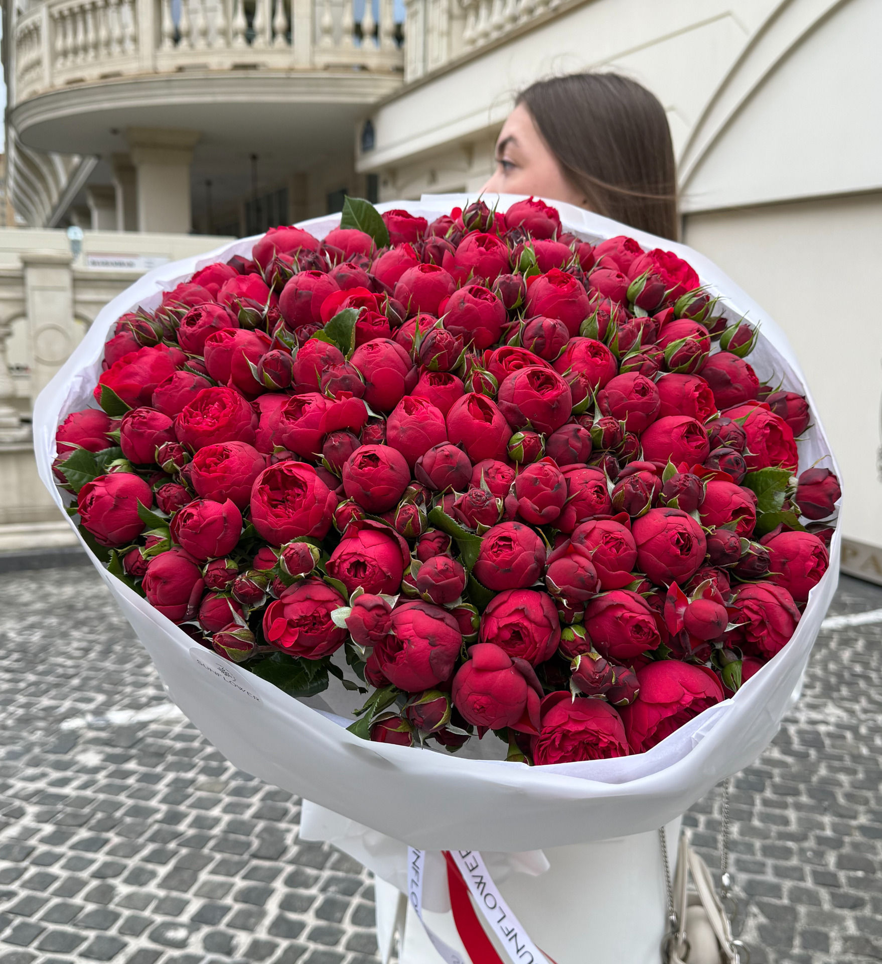 Rose Piano Freiland