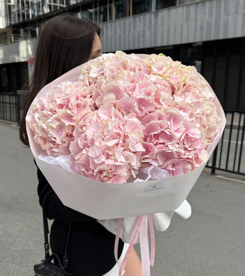 Hydrangea Holland pink