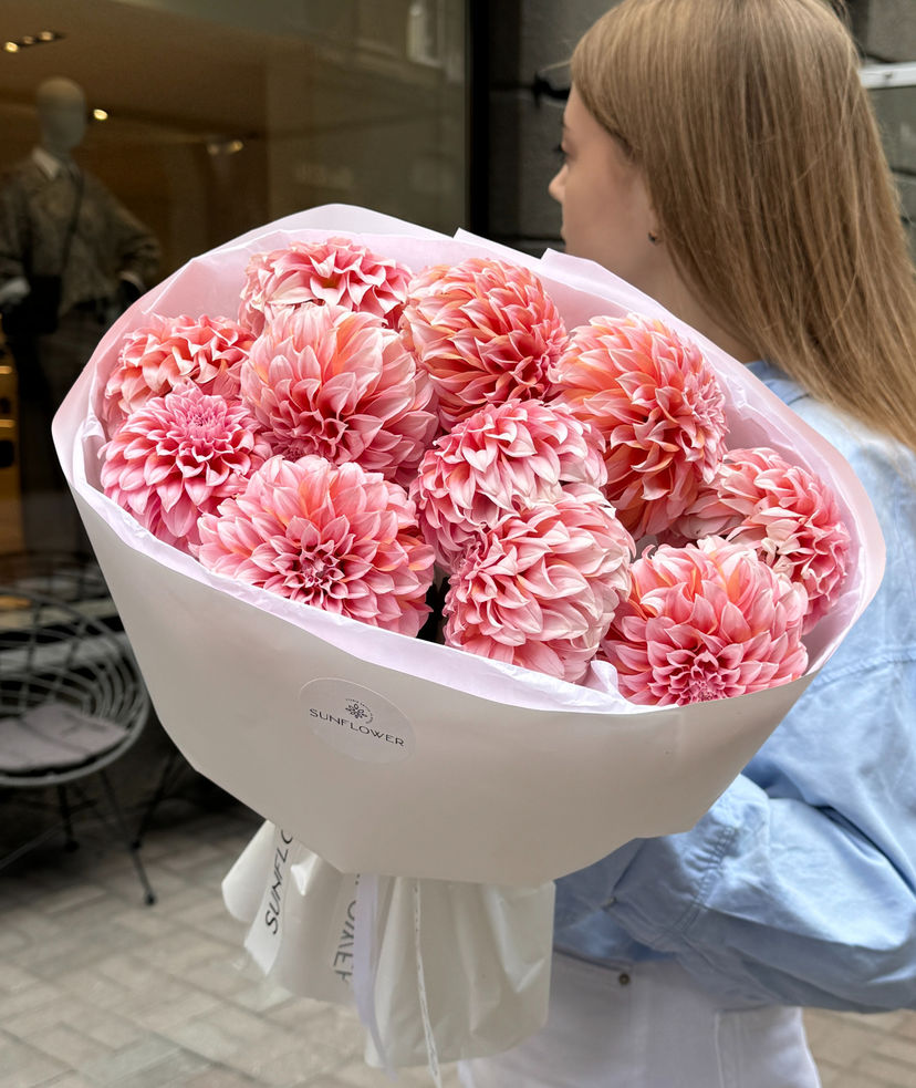 Dahlia pink