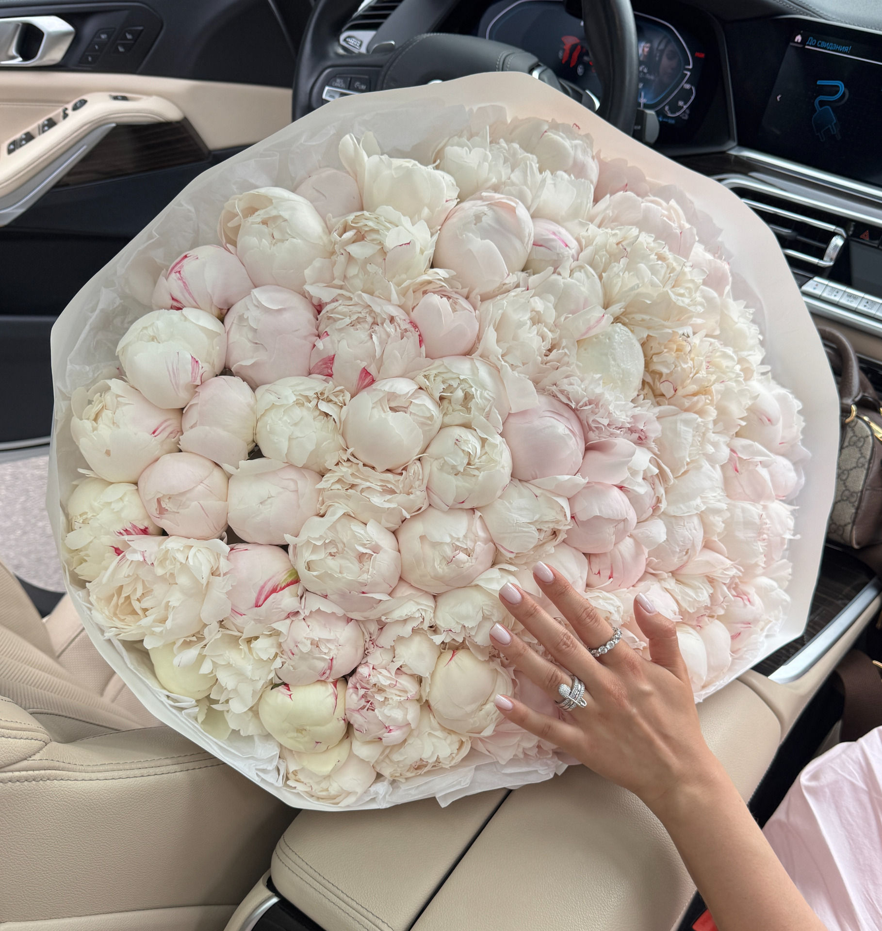 Peony Dynasty