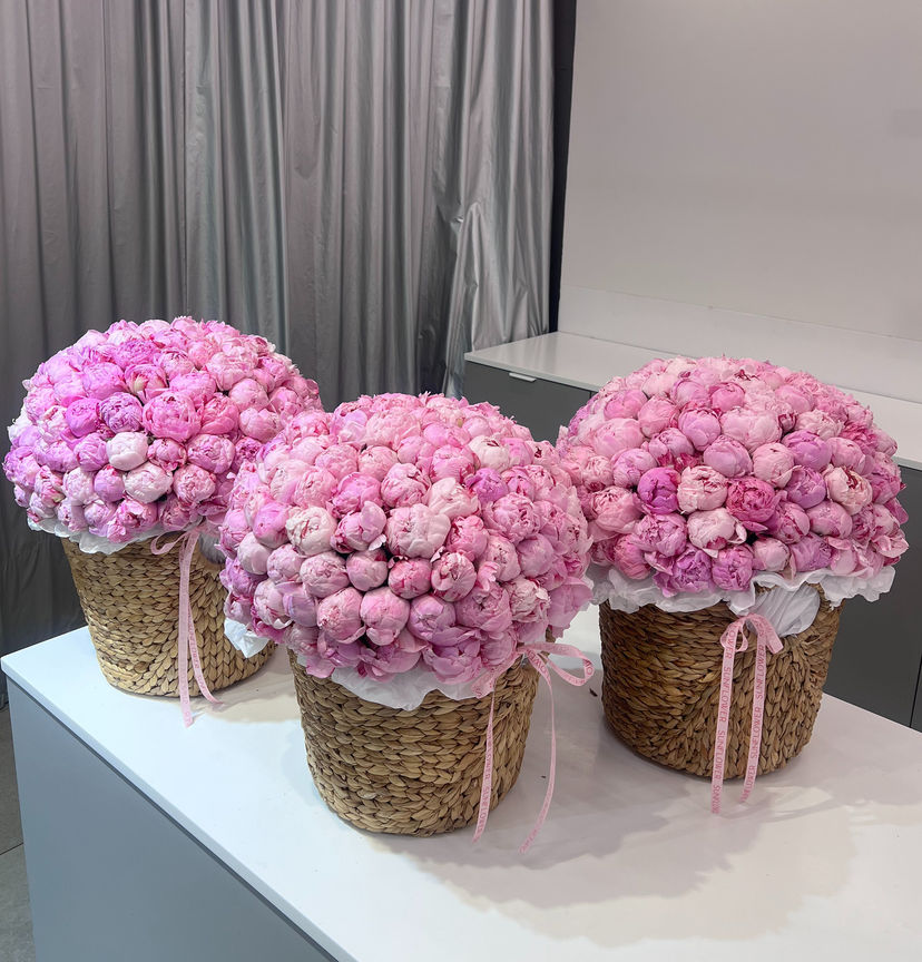 Three baskets of Sara Bernhard peonies, 101 pcs each