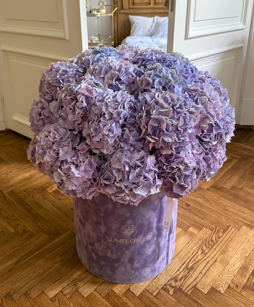 Hydrangea Arrangement in Velvet Box