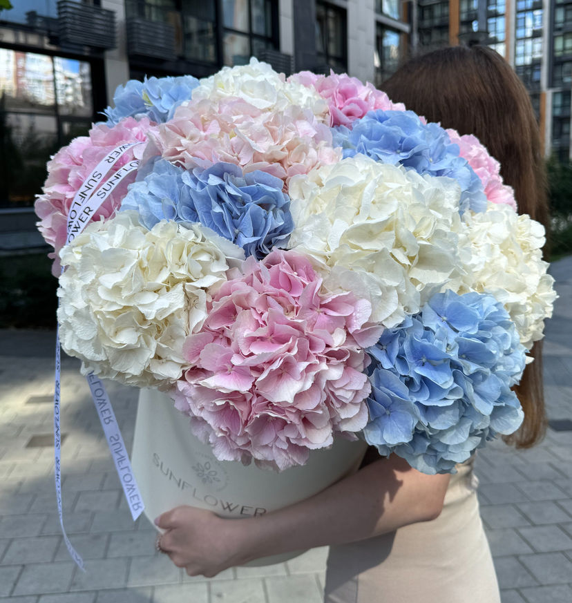 Hydrangeas in a Box — Pastel Arrangement