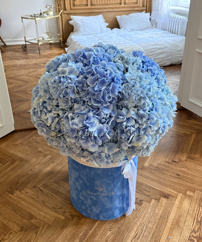 Blue Verena Hydrangeas in Velvet Box М