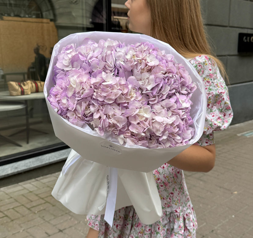 Гортензія Colombia Lilac