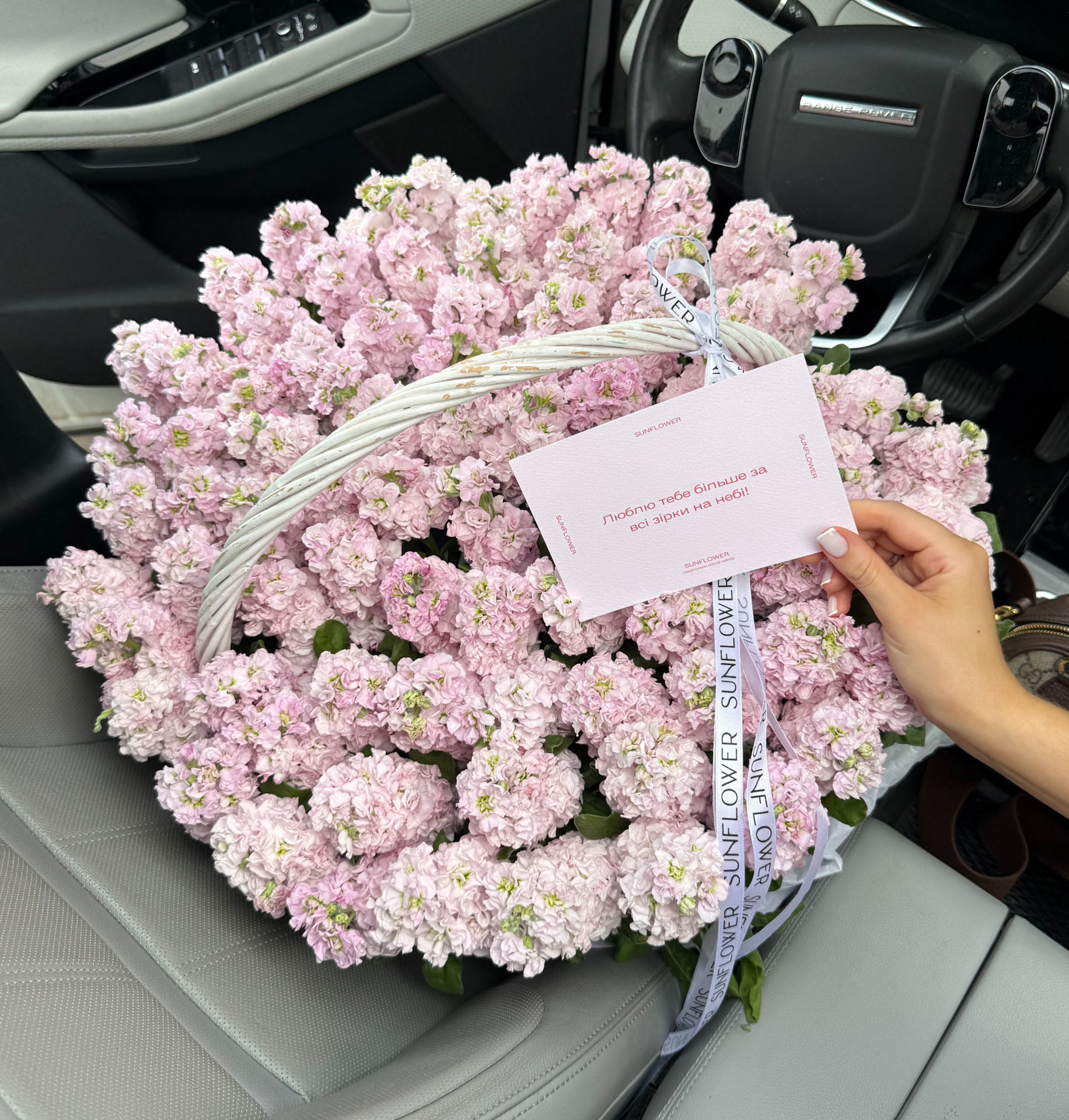 Matthiola Cherry Basket, 75 Stems