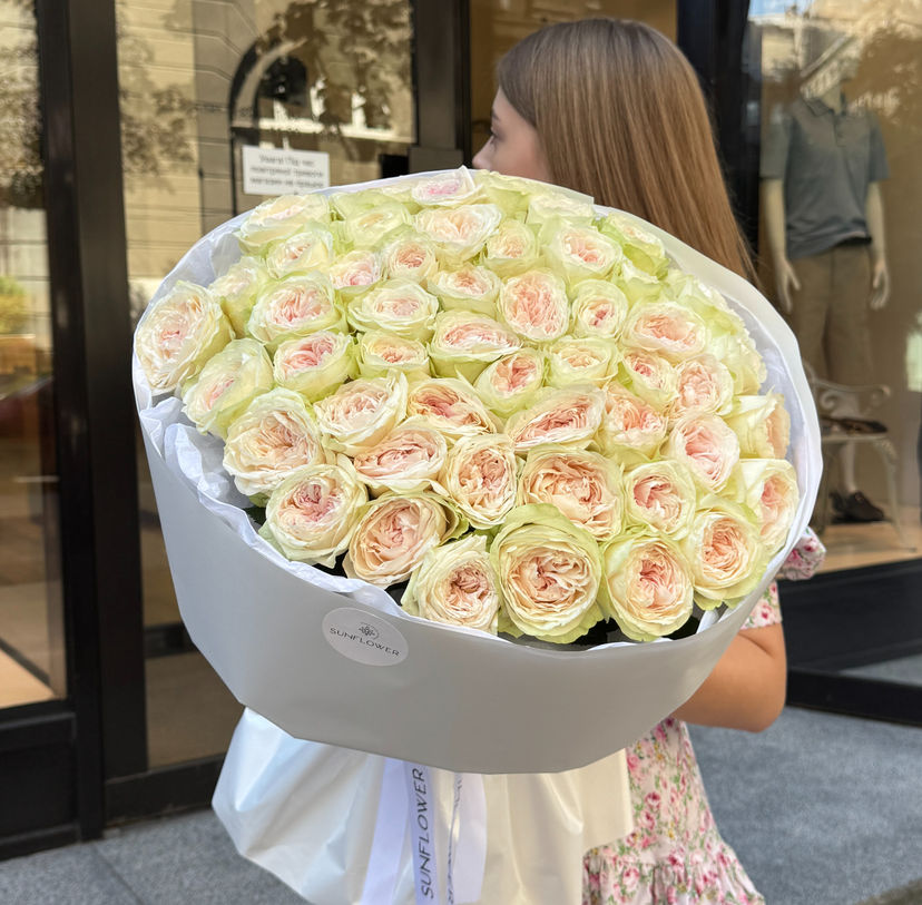 Bal Dream Sum.h Rose