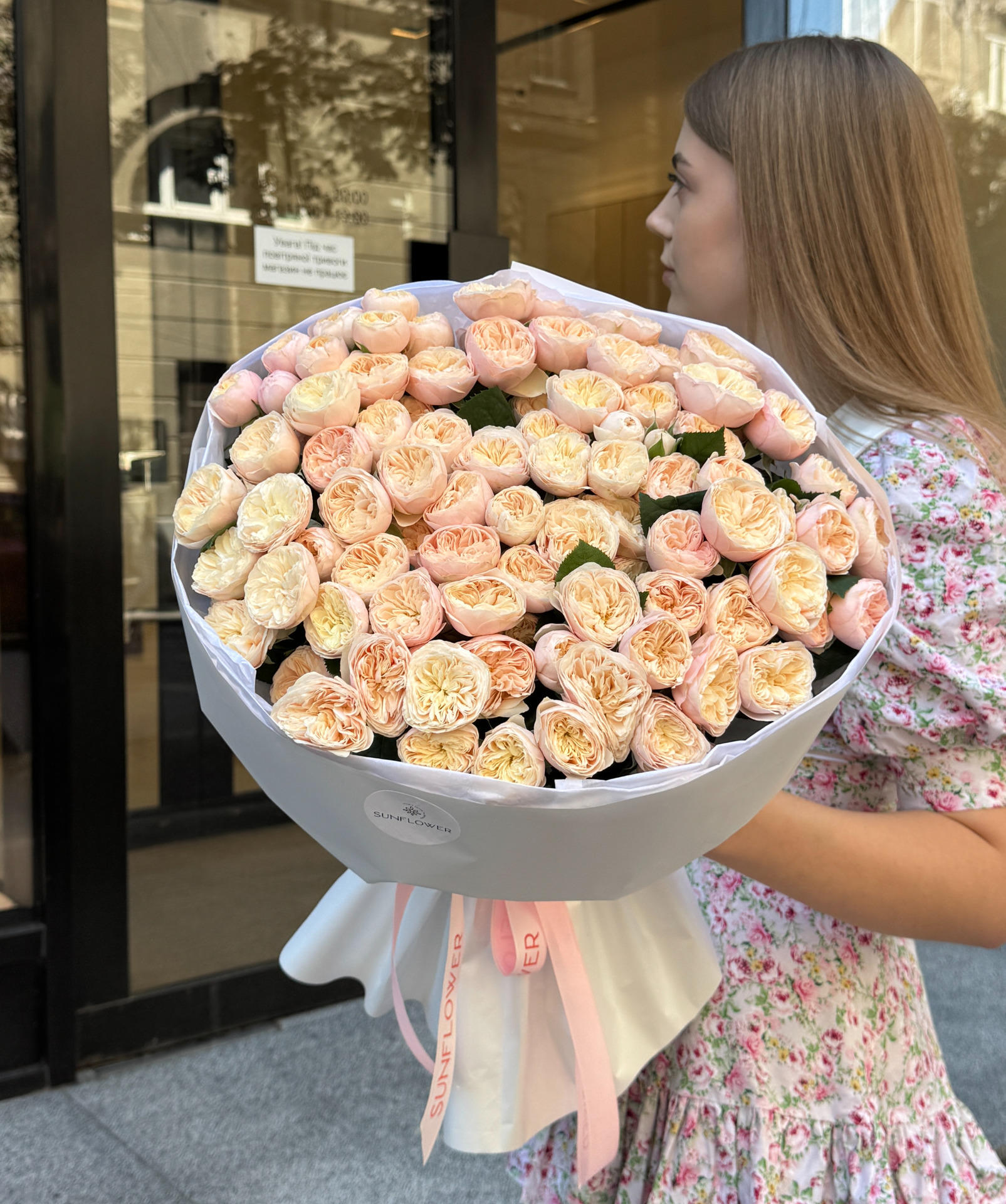 Royal Blush rose