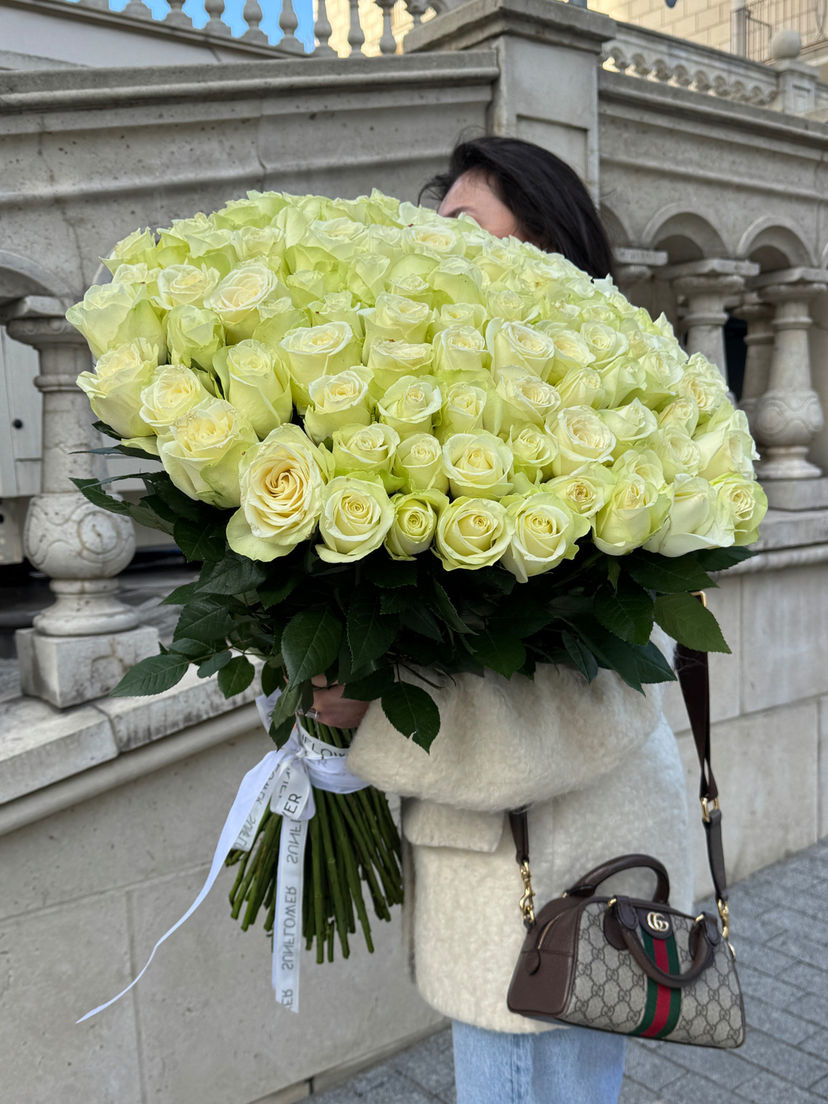 Rose Snowstorm (70 см)