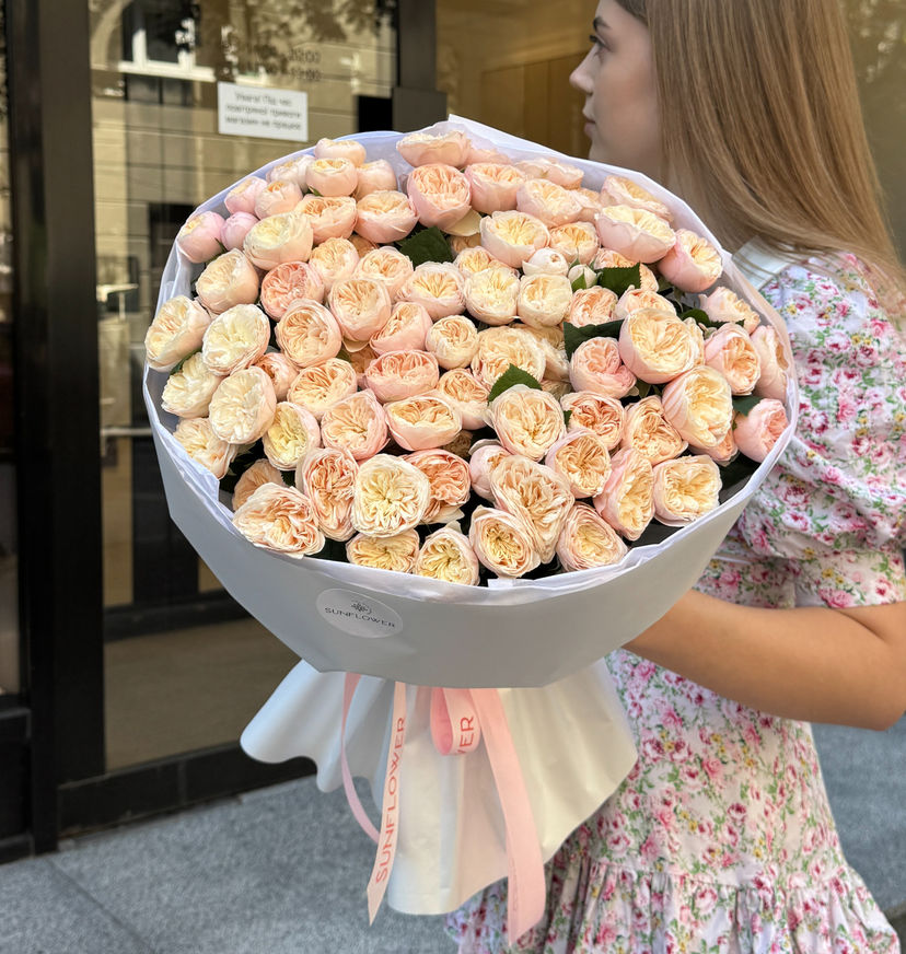 Royal Blush rose
