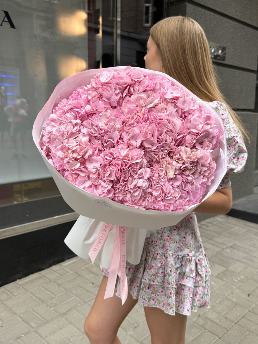 Hydrangea Colombia pink