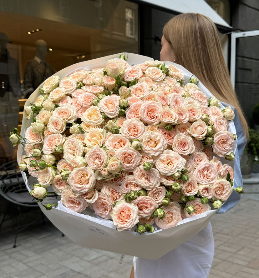 Morning Star rose