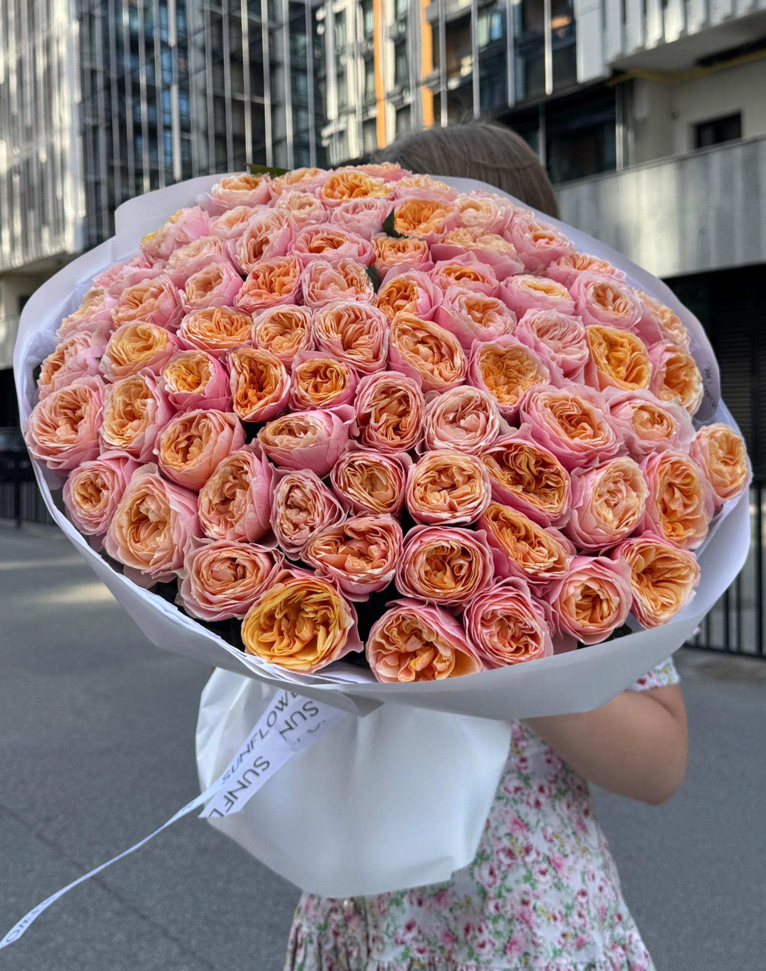 Rose Vuvuzela