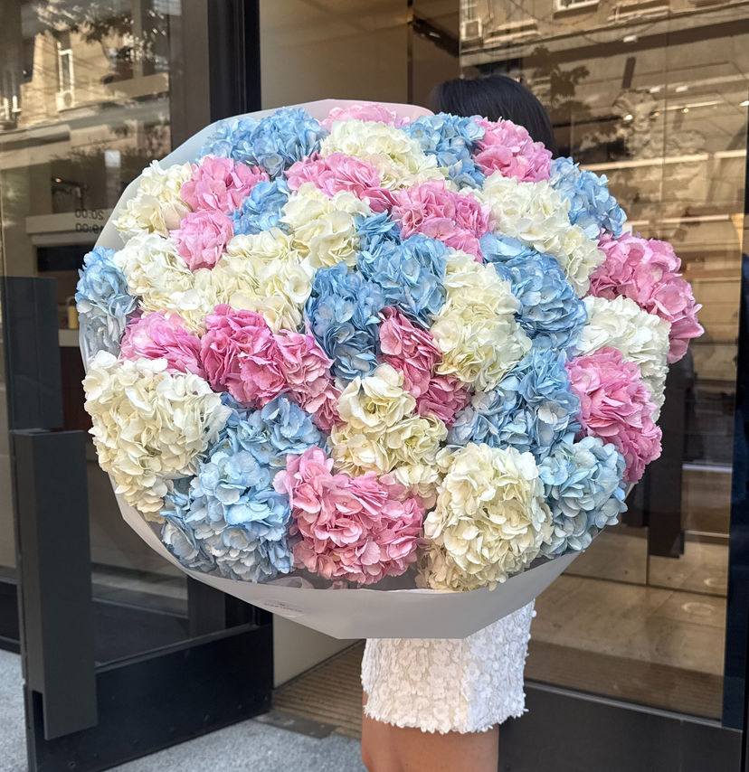 Bouquet of 35 Colombian Hydrangeas