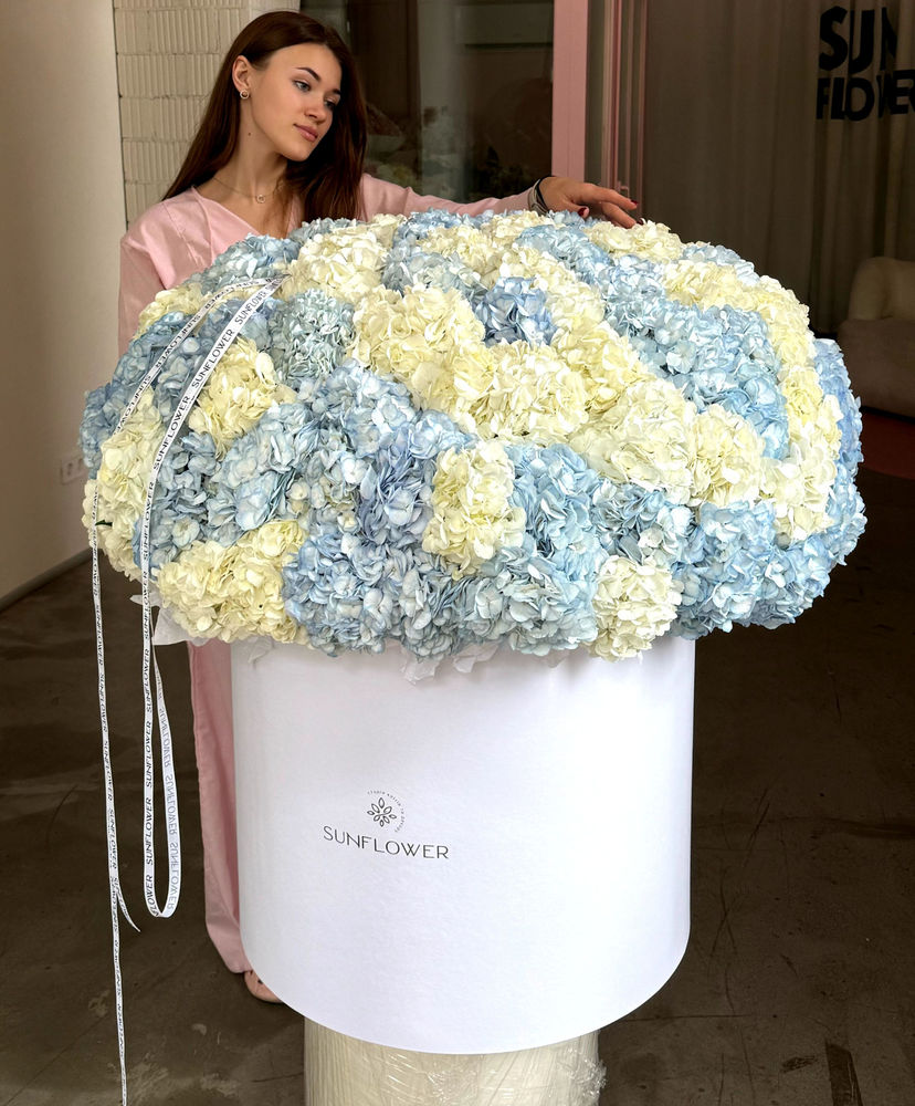 XXL box of two types of hydrangeas