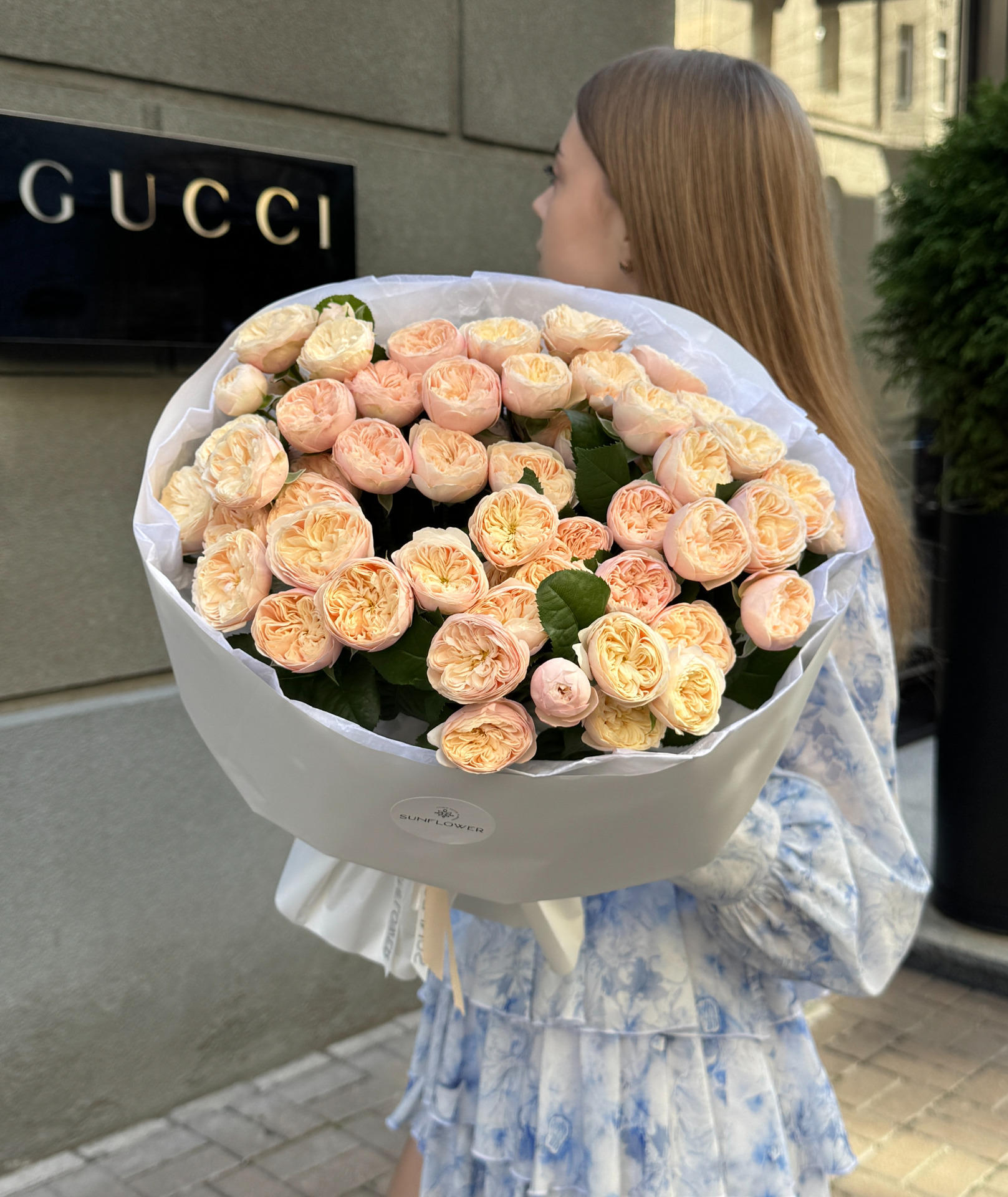 Троянда Royal Blush