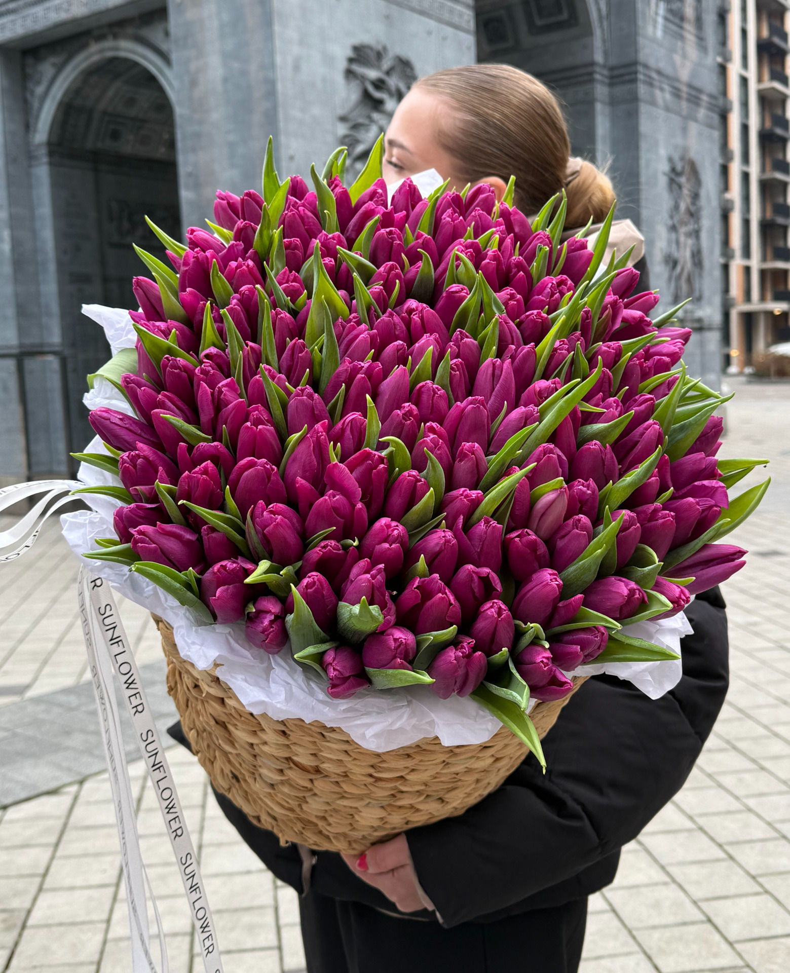 Tulips Purple Prince