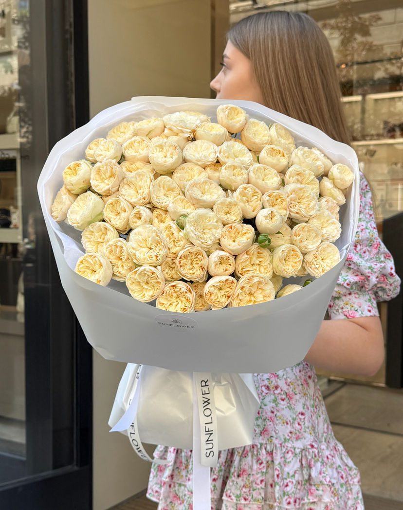 Roy Blush Pearl Rose 50 cm