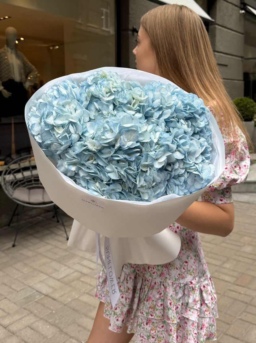 Hydrangea Colombia blue