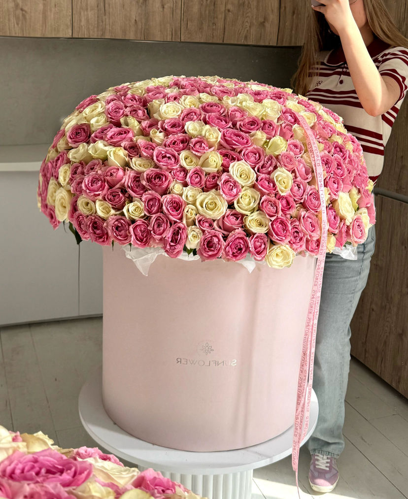 XL 501 box with pink and white roses