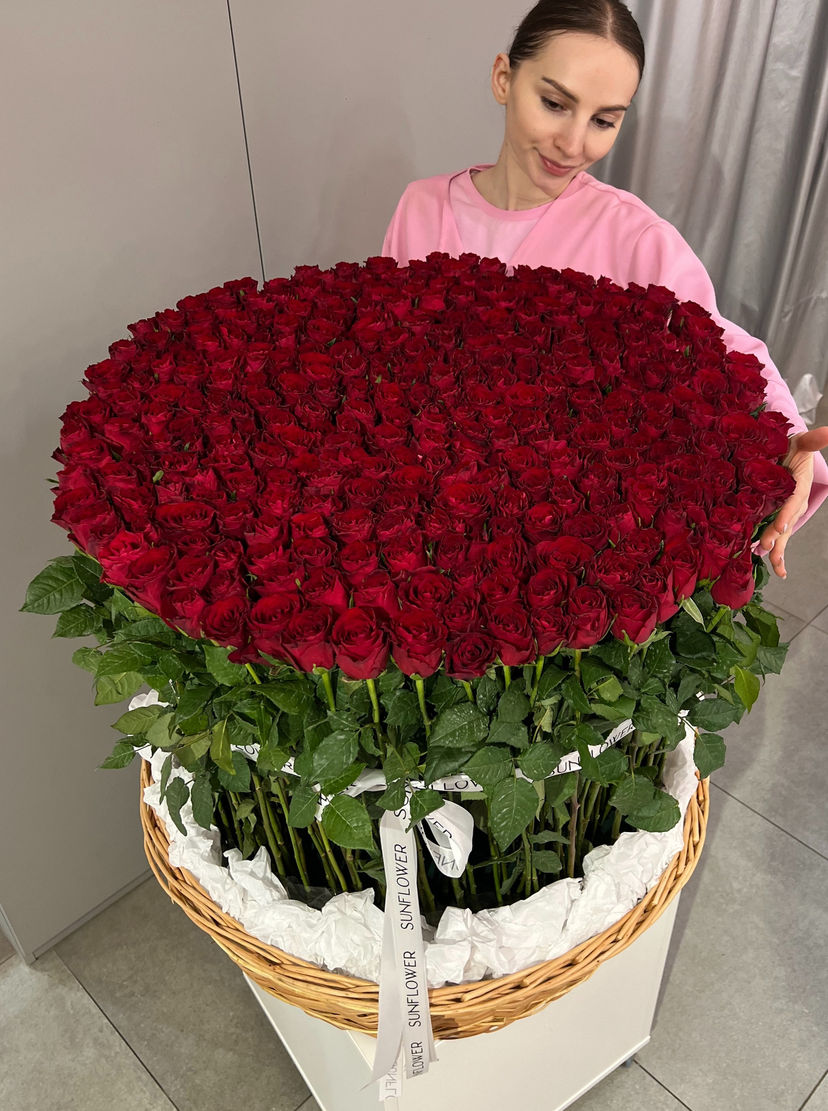 Basket of 301 Madam Red